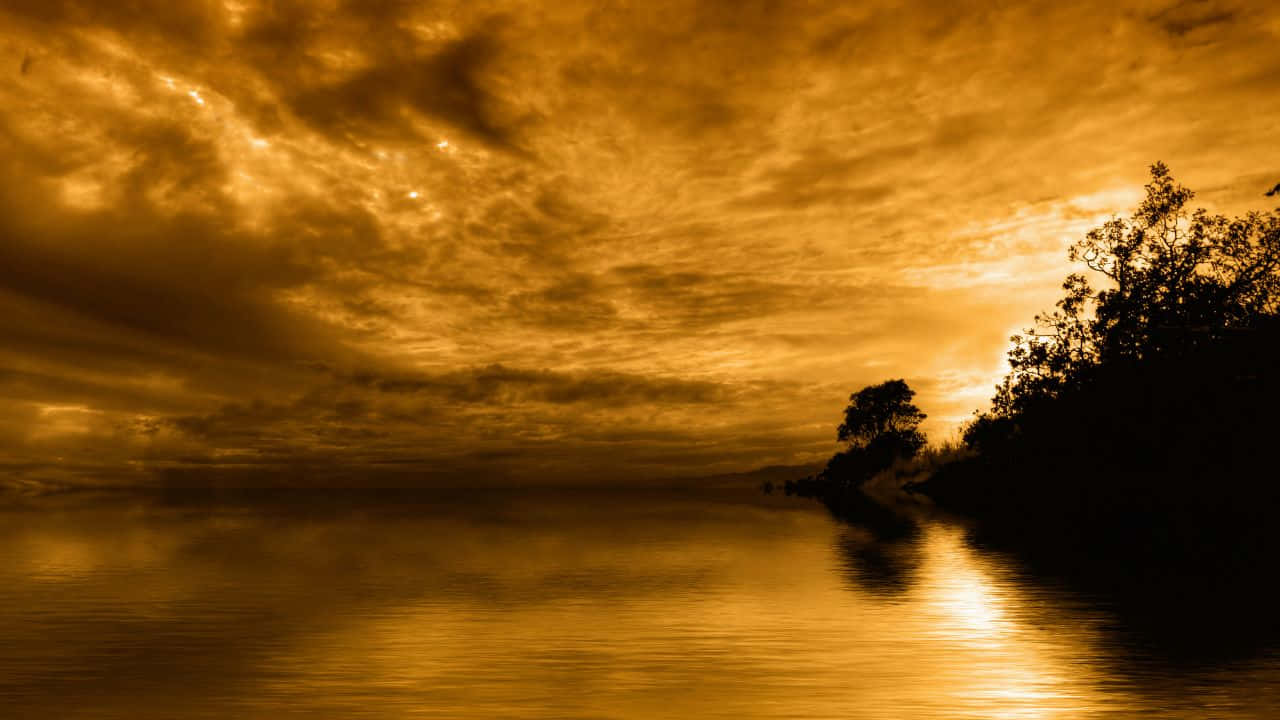 Rolig strandsolnedgang Bakgrunner