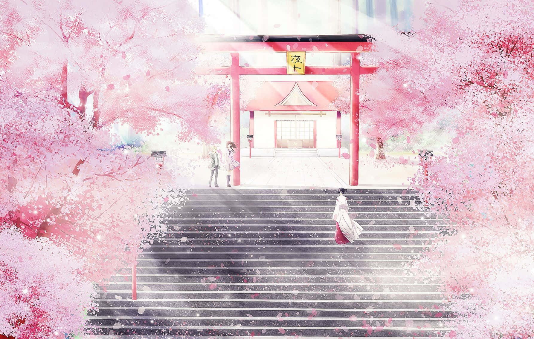 Rosa anime-estetiske bilder Bakgrunner