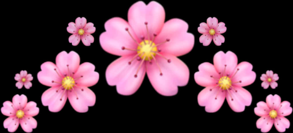 Rosa blomster_ Svart bakgrunn Bakgrunner