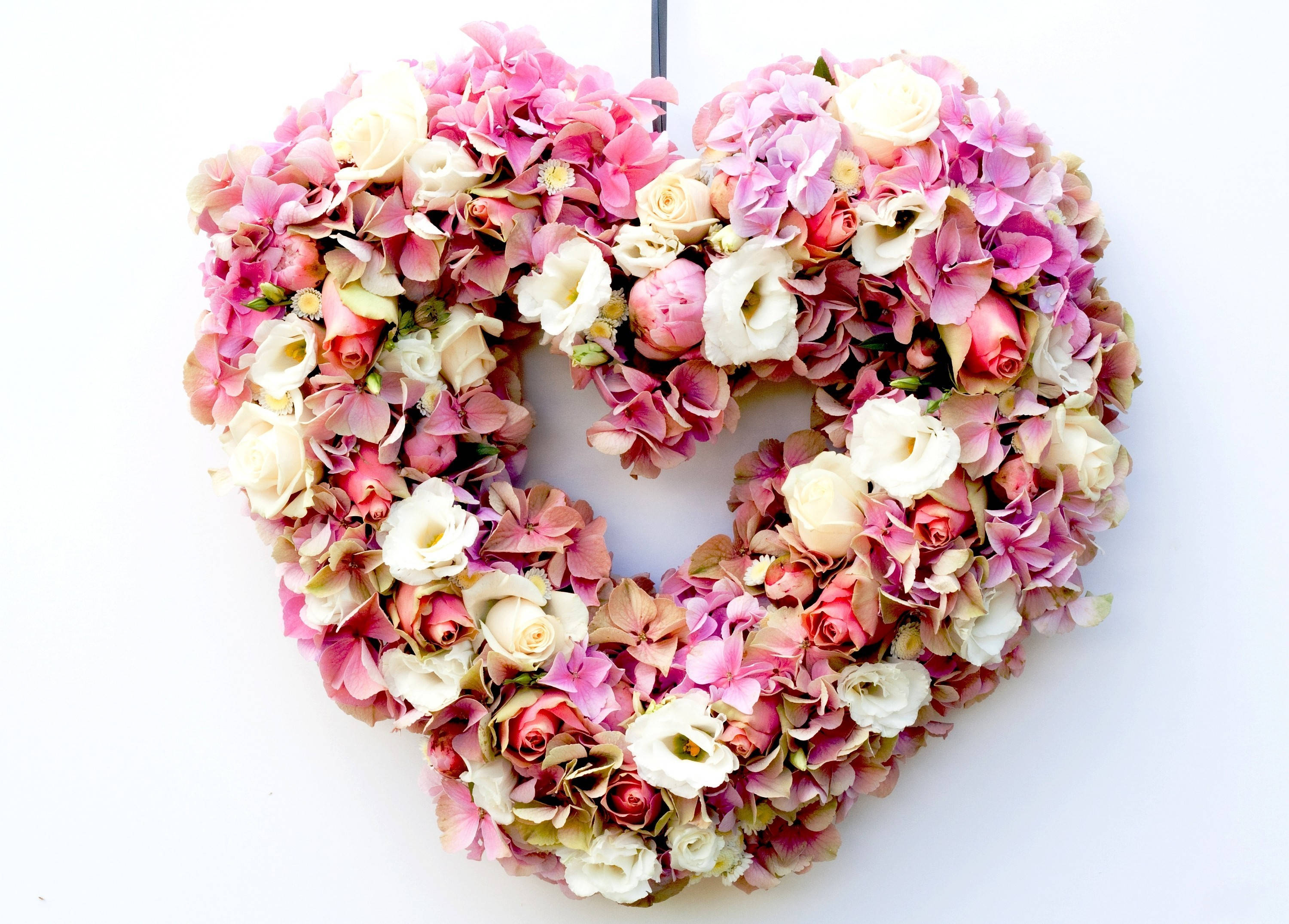 Rosa blomsterhjerte til Valentines Bakgrunner