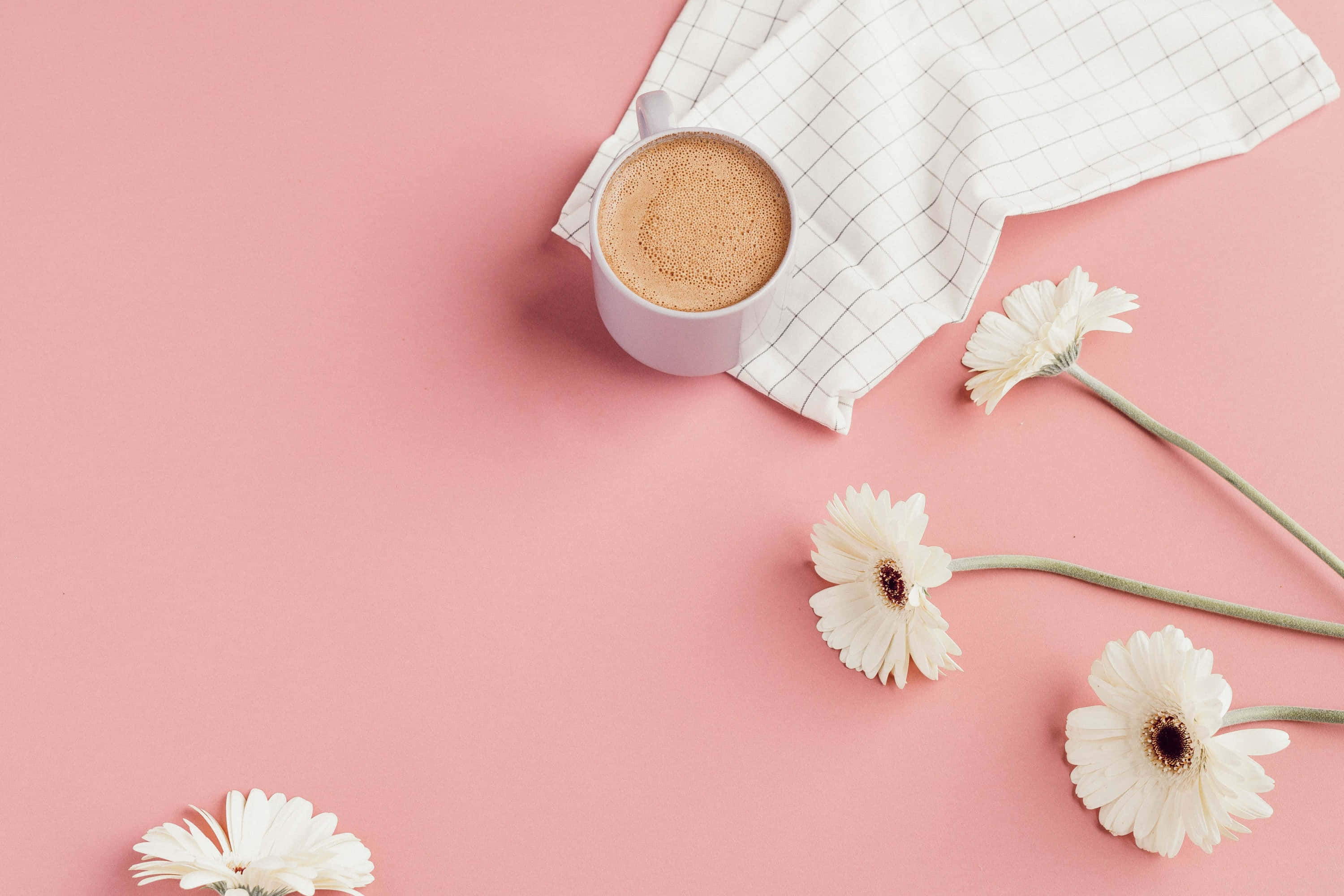 Rosa estetikk med et hint av moderne minimalisme Bakgrunner