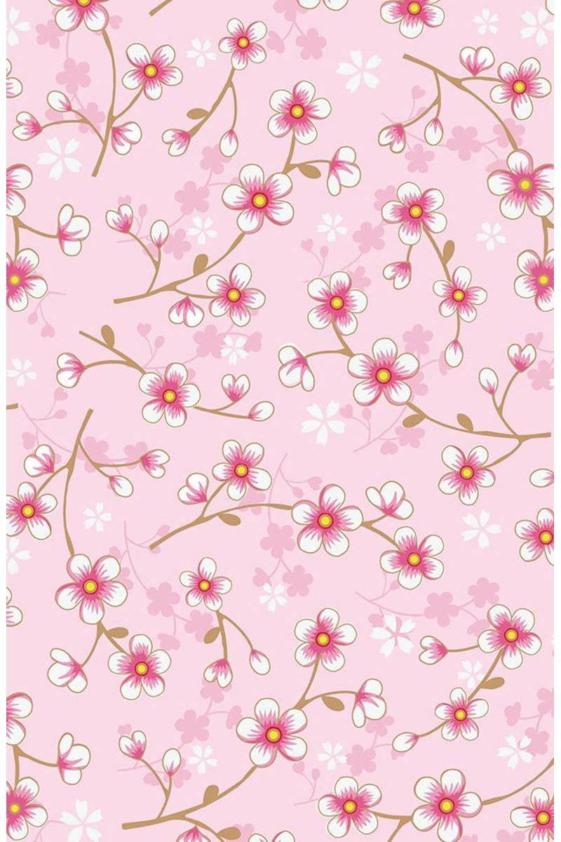 Rosa Kirsebærblomst Kunst Bakgrunner