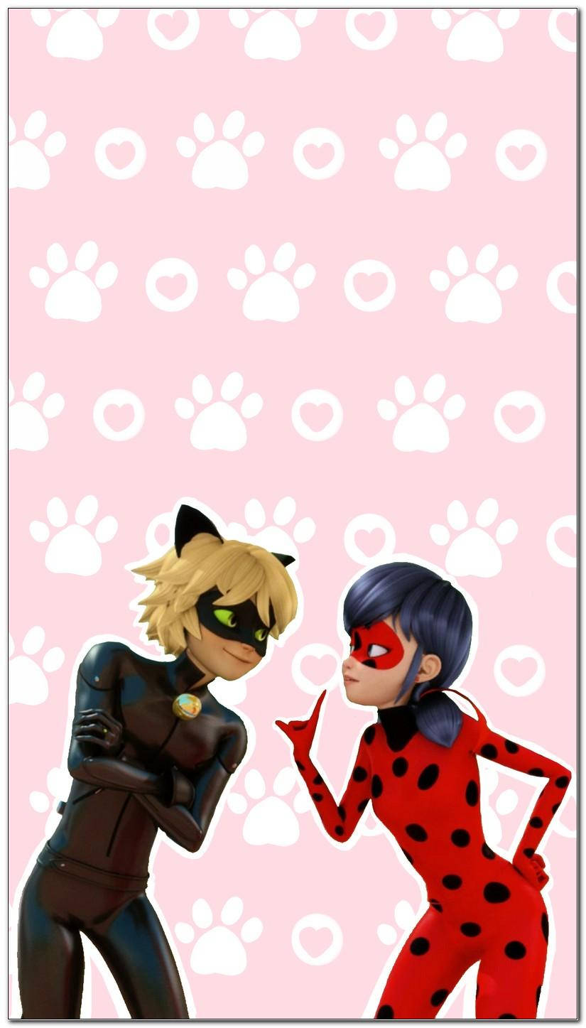 Rosa Ladybug og Cat Noir-telefon Bakgrunner