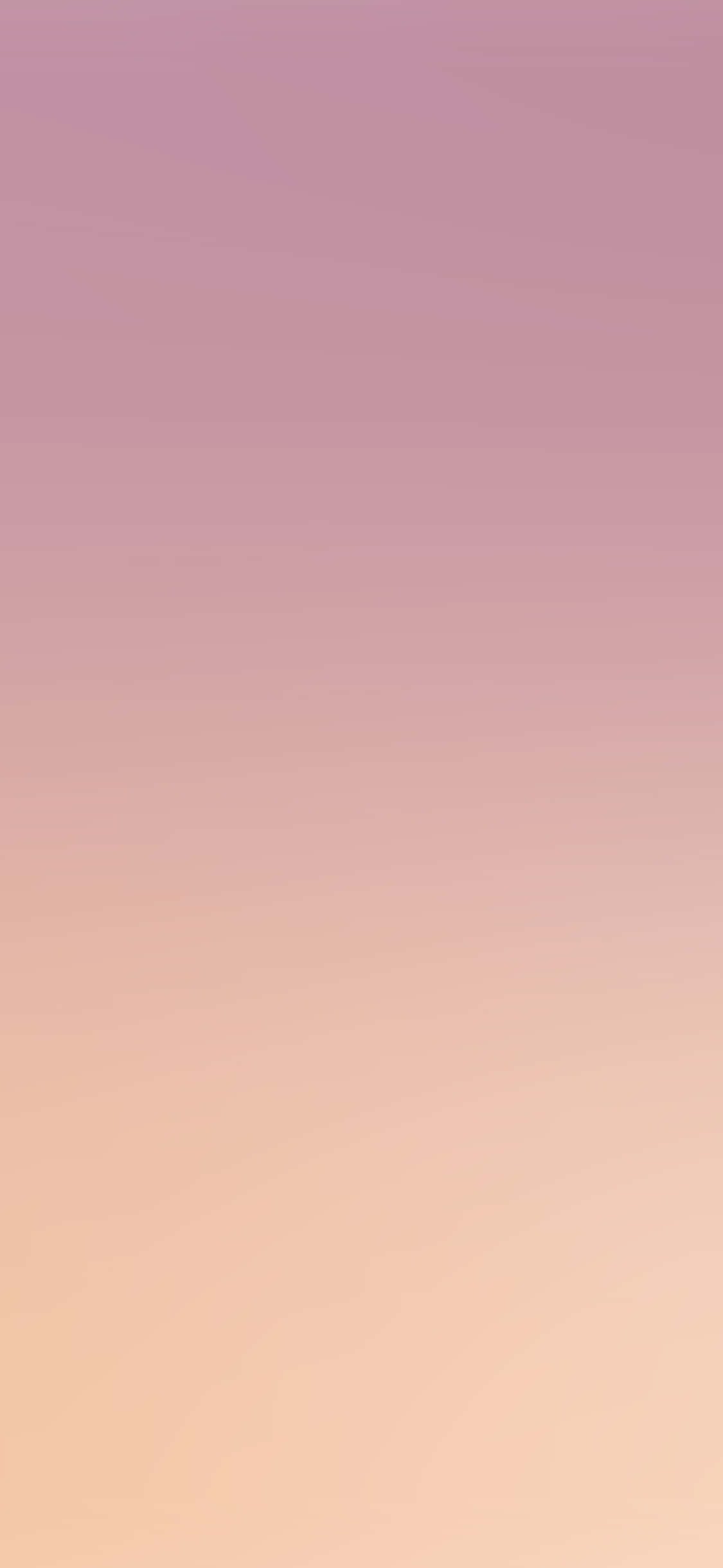 Rosa Ombre Gradient Bakgrunn Bakgrunner