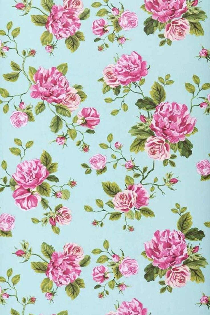 Rosa rose med blader blomster iPhone Bakgrunner