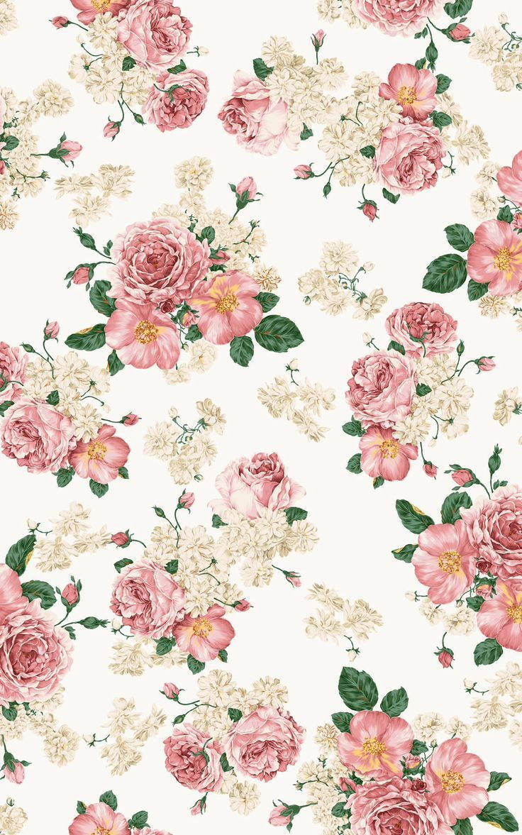 Rosa roser blomstrende iPhone Bakgrunner