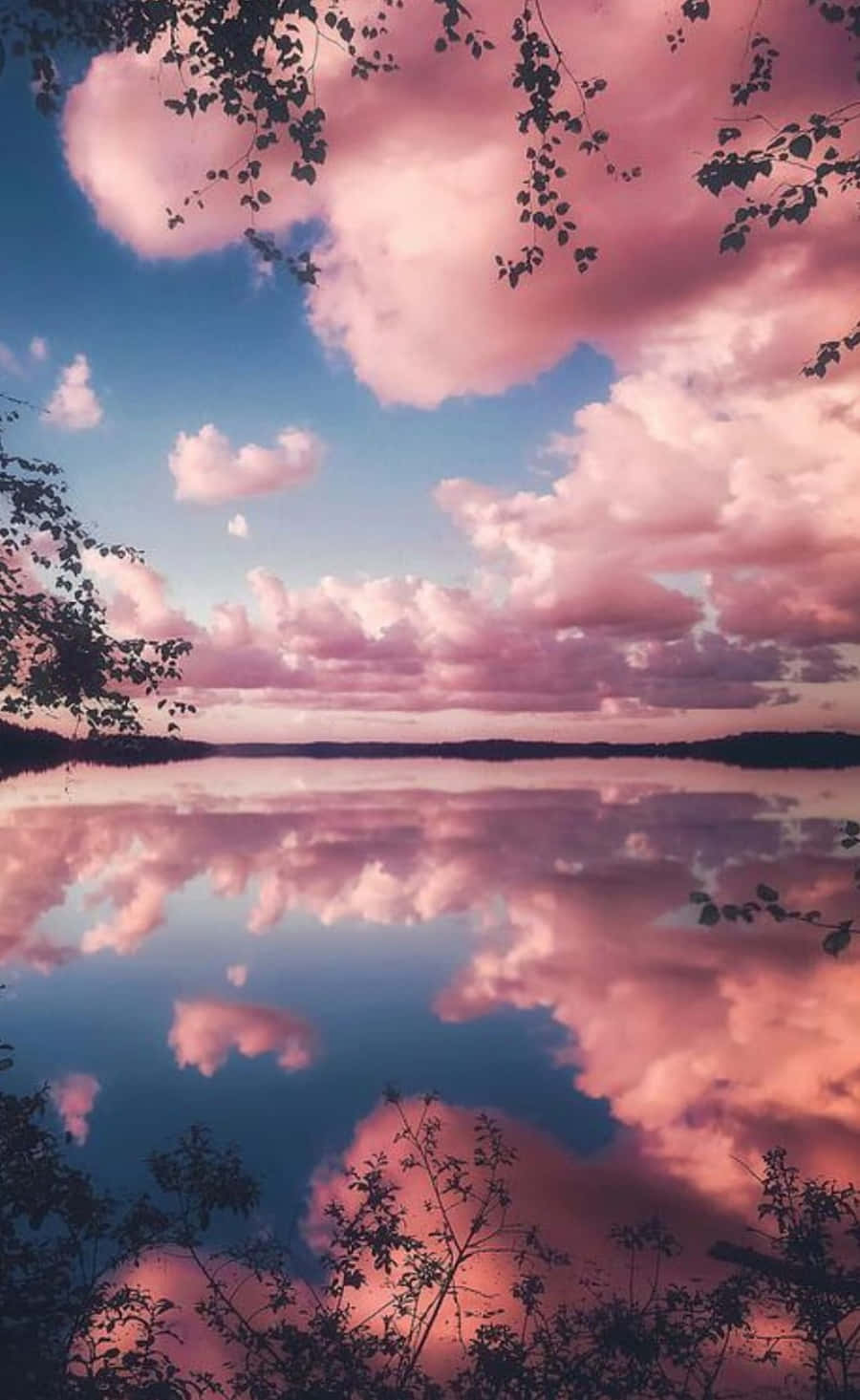 Rosa Skyer Himmel Bilder Bakgrunner
