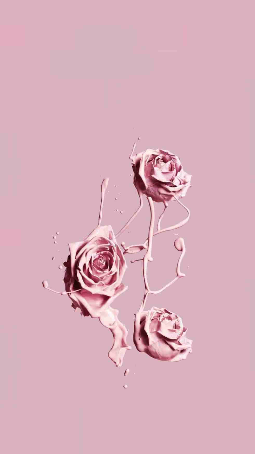 Rosa vintage-estetisk maling Bakgrunner