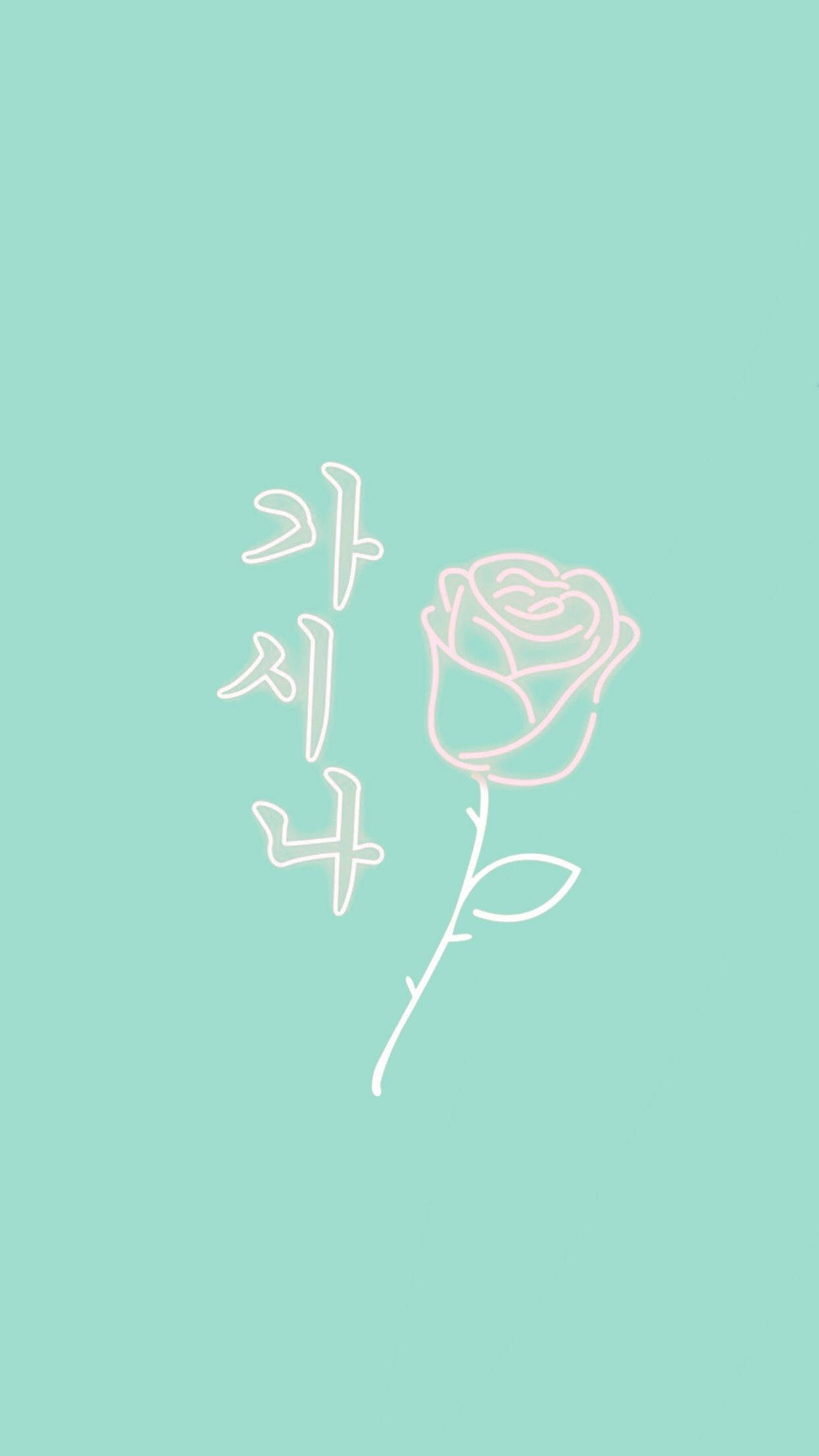 Rose på pastellgrønn bakgrunn Bakgrunner