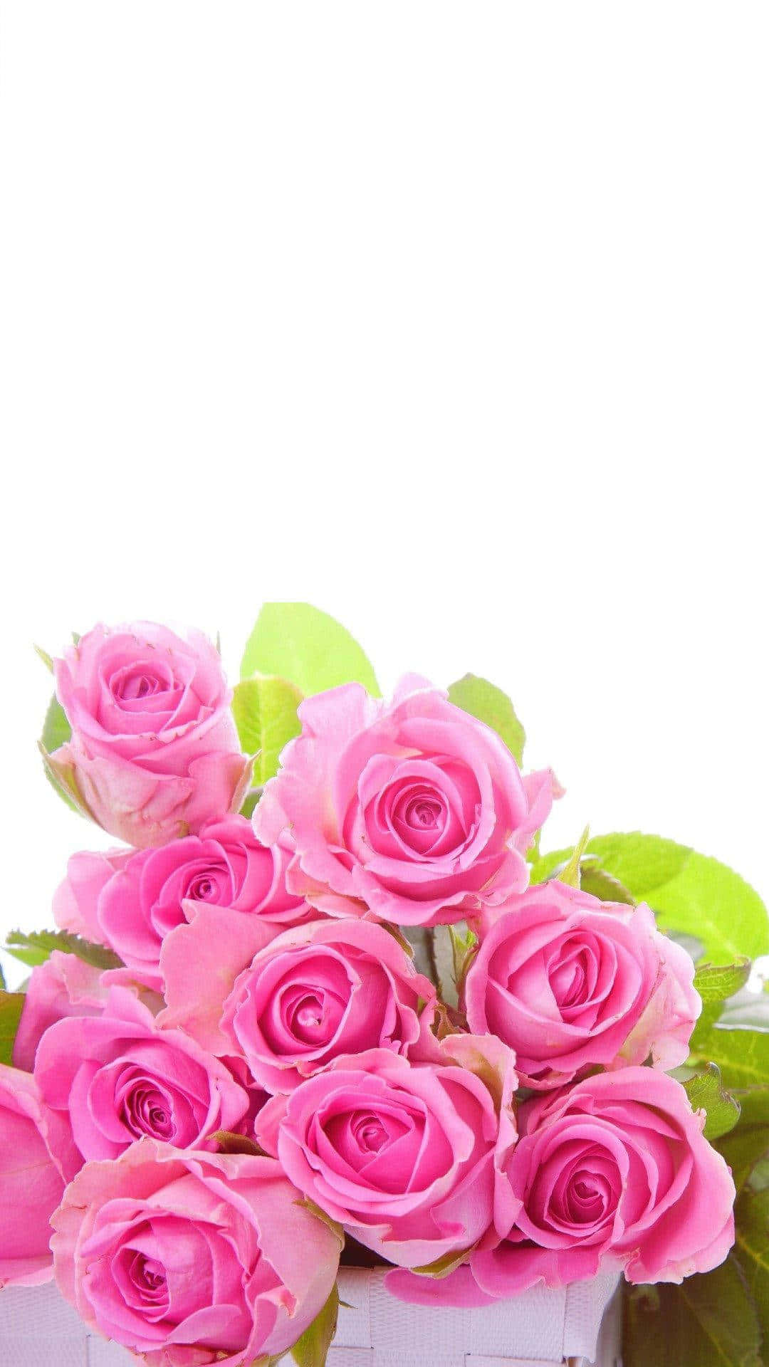 Rosebukett iPhone-bilder Bakgrunner