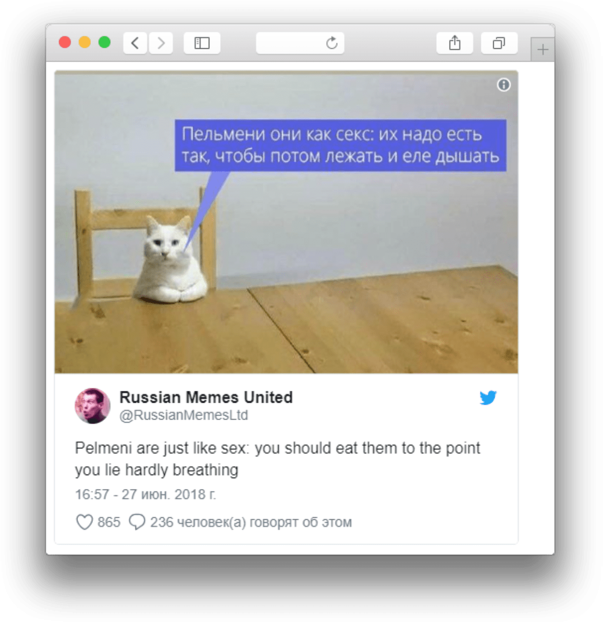 Russisk kattememesammenligning med pelmeni Bakgrunner