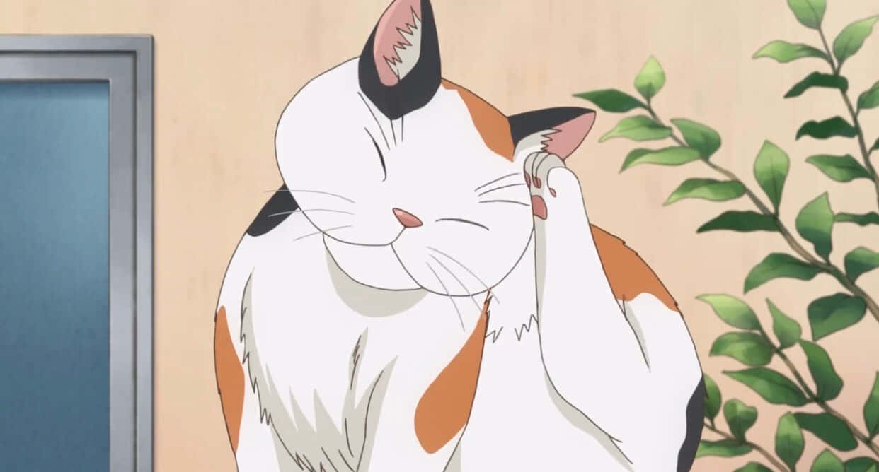 Så søt animekatt med briller! Bakgrunner