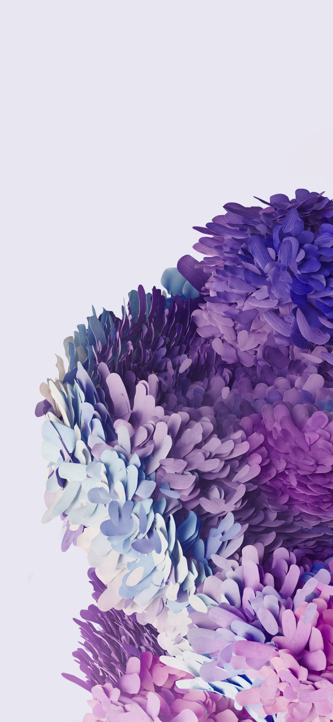 Samsung Galaxy S20 lilla blomster Bakgrunner