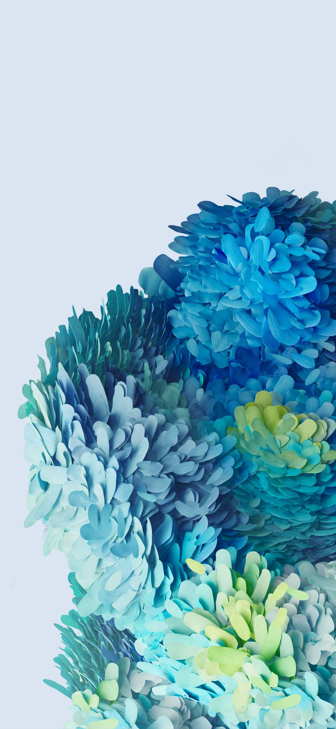 Samsung Galaxy S20 blå blomster Bakgrunner