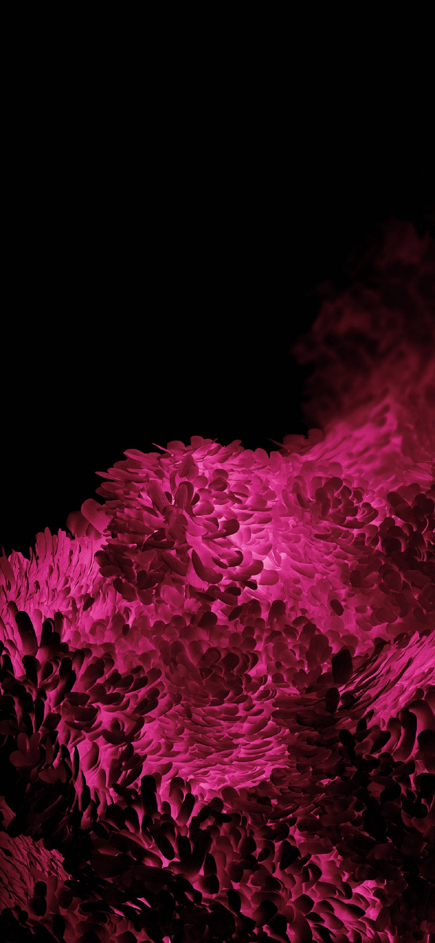 Samsung S20 Ultra Rosa Svamp Bakgrunner