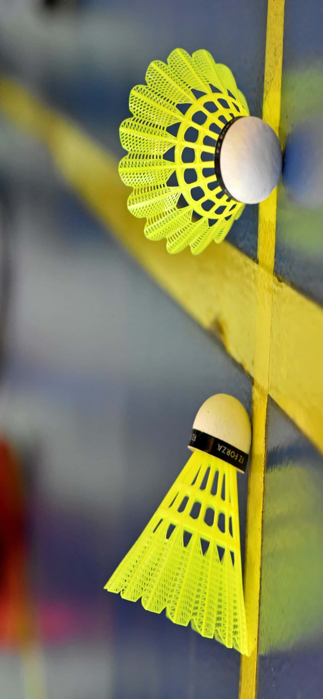 Seiersfeiring etter en spennende badmintonkamp Bakgrunner