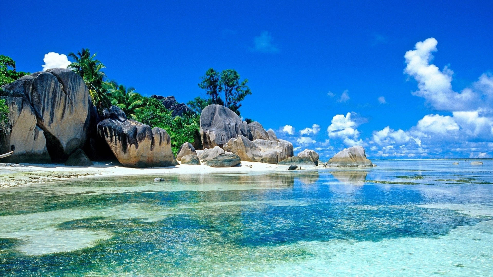Seychellenes paradis: Strandskjermsparer