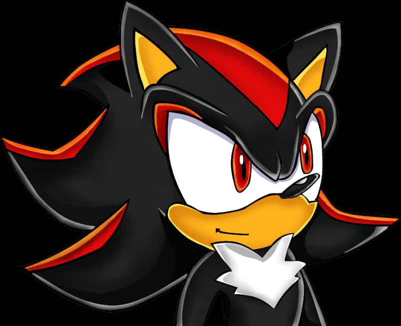 Shadow The Hedgehog Portrett Bakgrunner