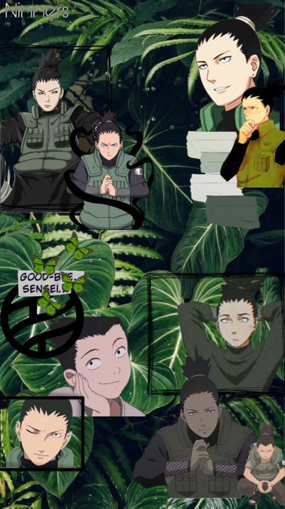 Shikamaru Bladestetisk Bakgrunner
