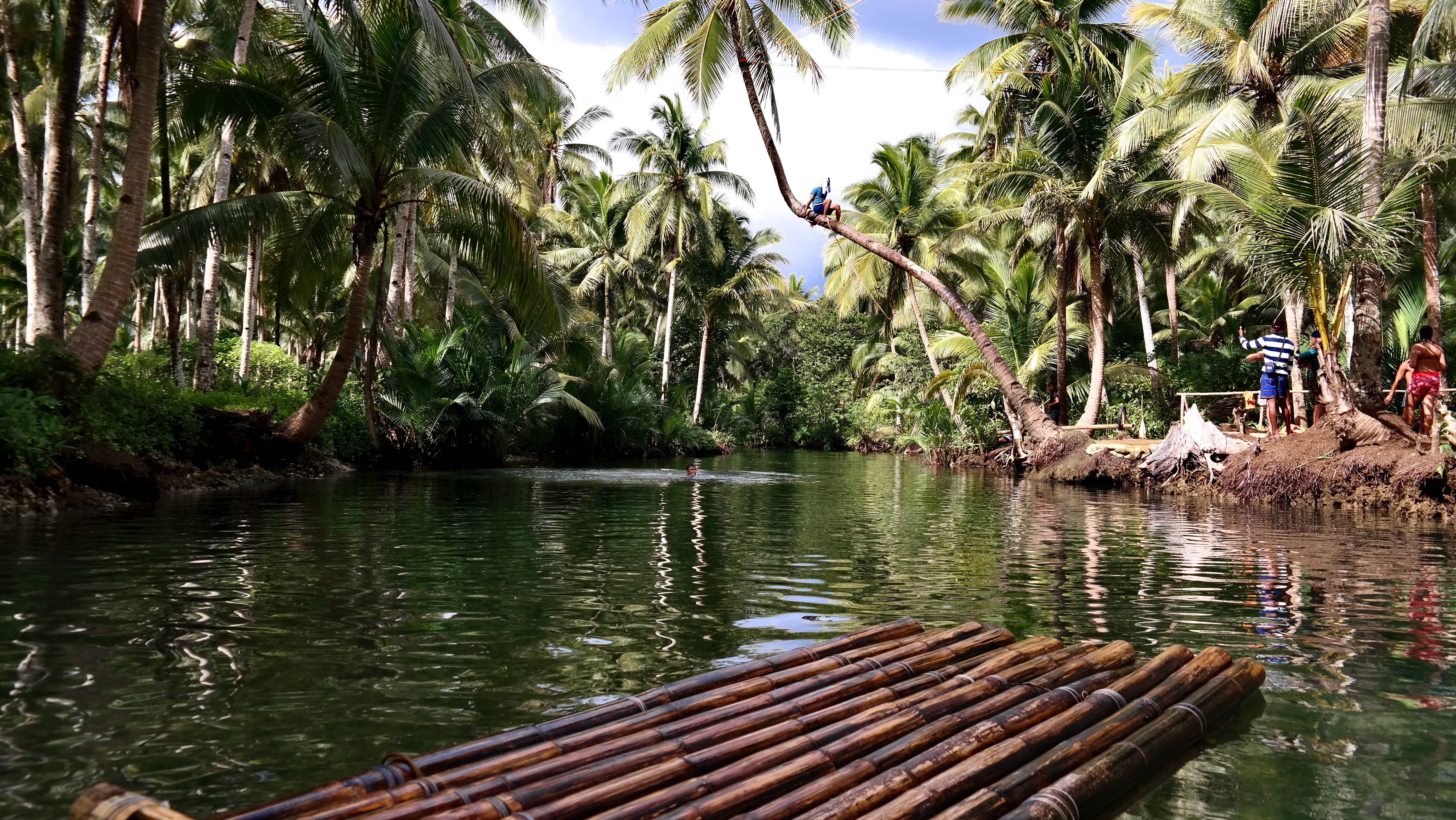 Siargao Island Maasin River Flåte Bakgrunner