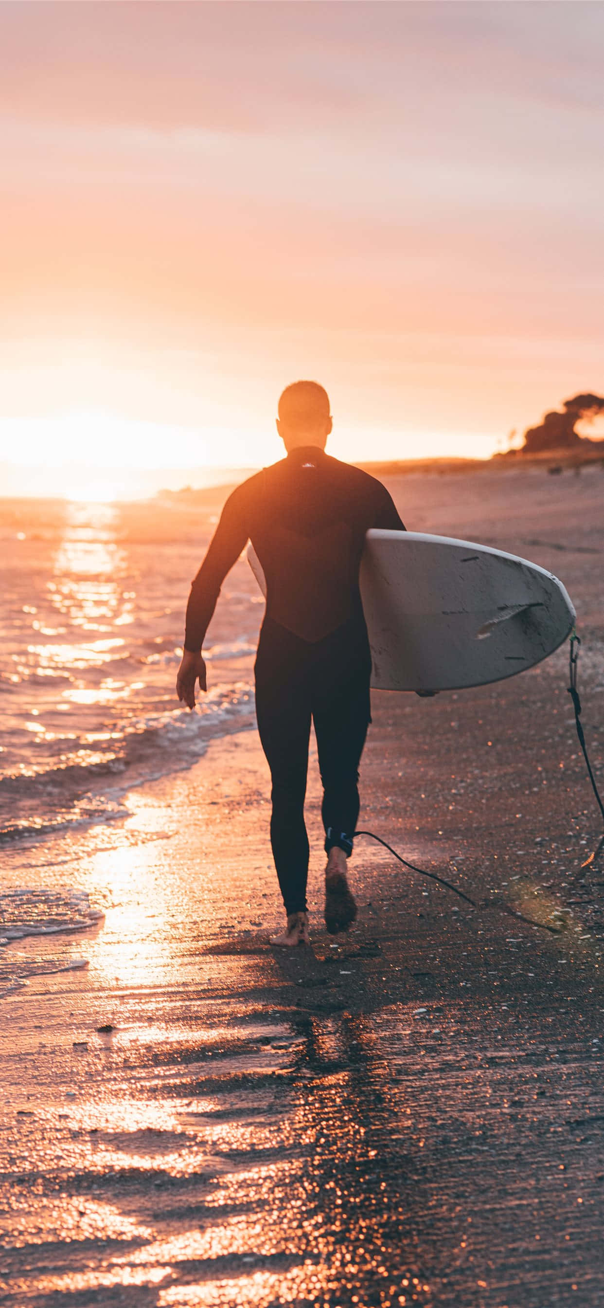 Silhuett av mann med surfebrett Bakgrunner
