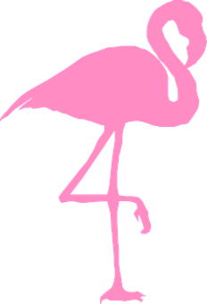 Silhuett av rosa flamingo