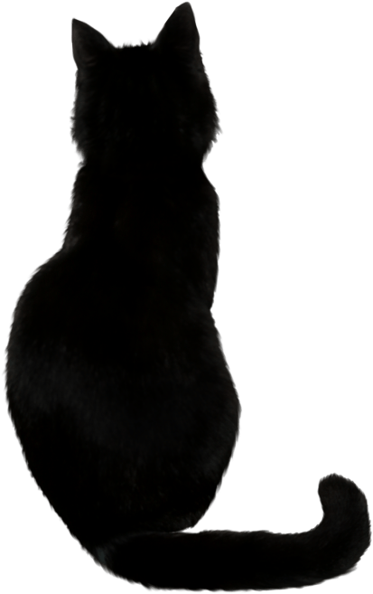 Silhuett av svart katt Bakgrunner