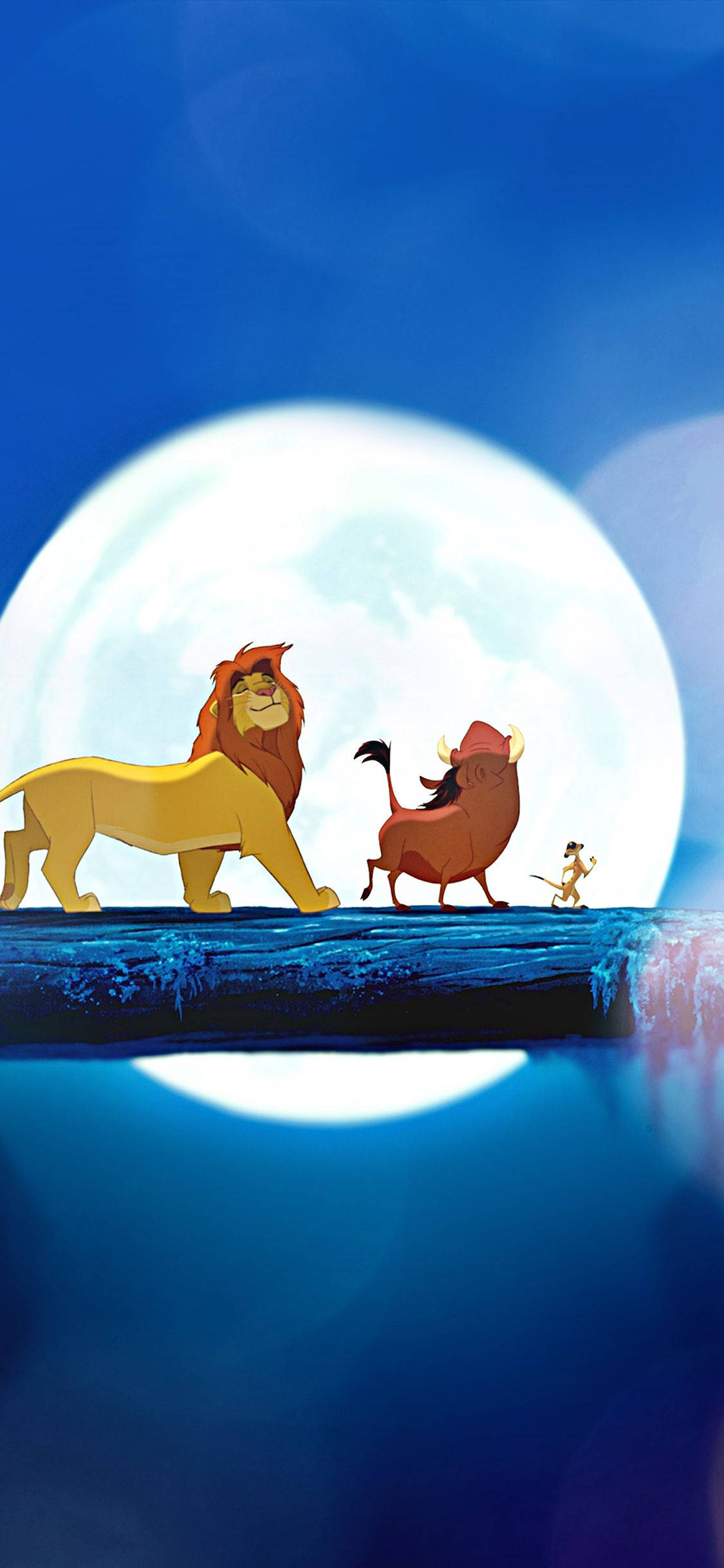 Simba ser soloppgangen over savannen Bakgrunner