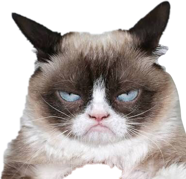 Sint katt uttrykk.PNG Bakgrunner