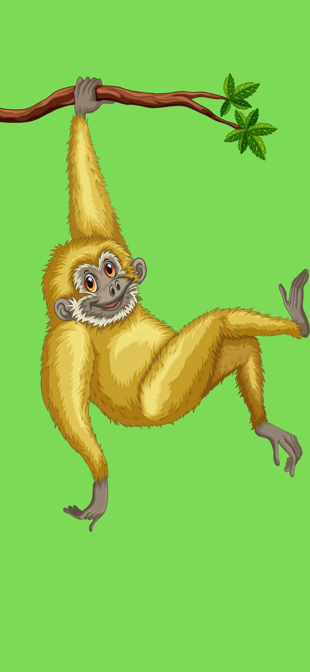 Sjekk ut iPhone Xs Max Gibbon med sine livlige farger og perfekte design! Bakgrunner