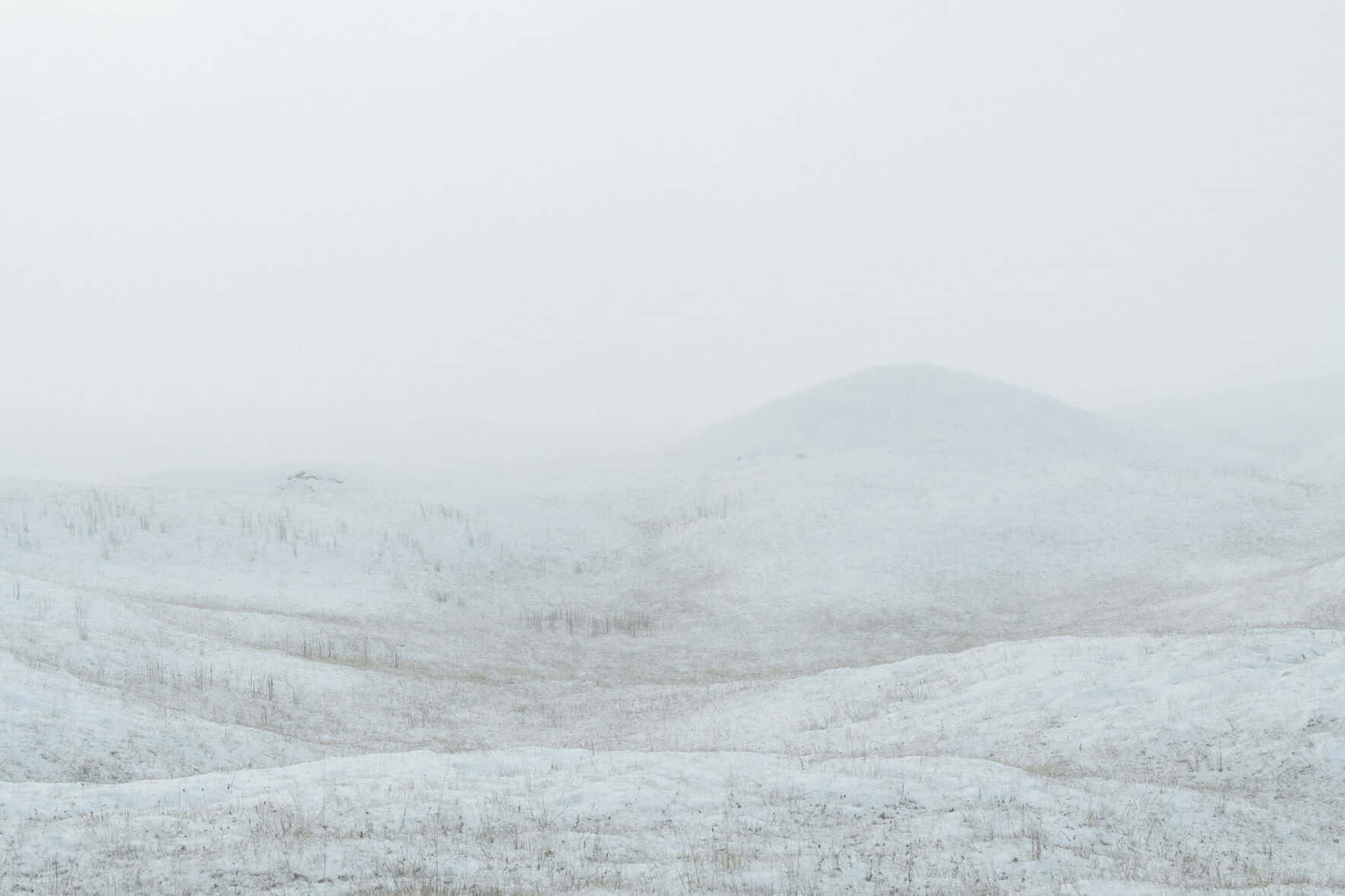 Skinnende hvit snø skaper en fredelig setting. Bakgrunner