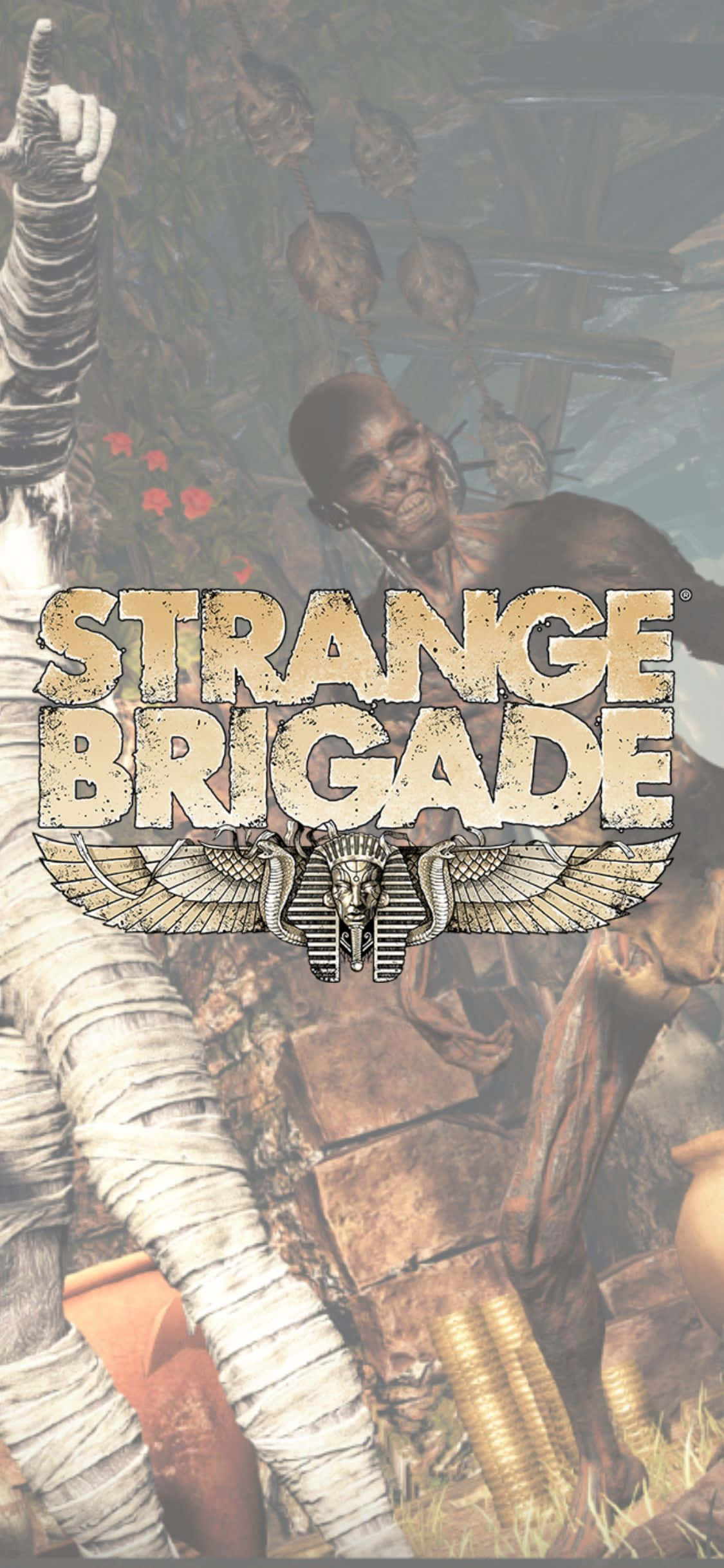 Skjelett og innsvøpte zombier iPhone X Strange Brigade Bakgrunn Bakgrunner