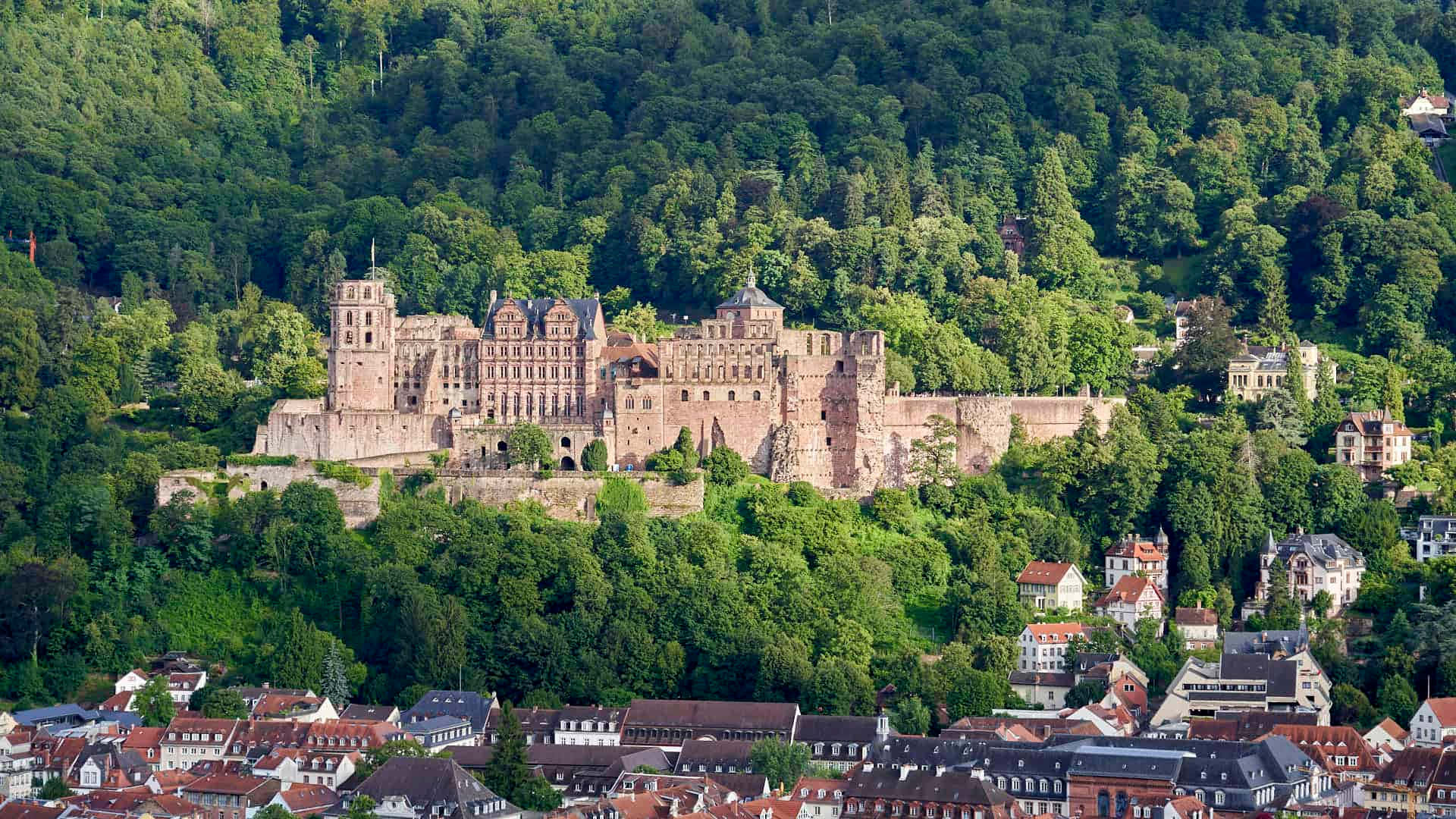 Skog rundt Heidelberg slott Bakgrunner