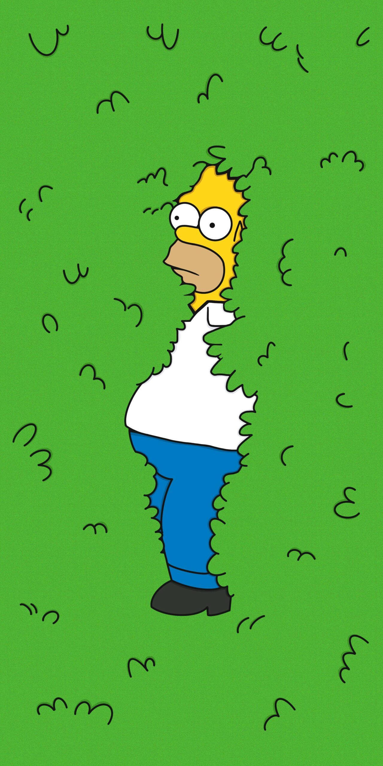 Skogkledd Homer Simpson Morsom Bakgrunner