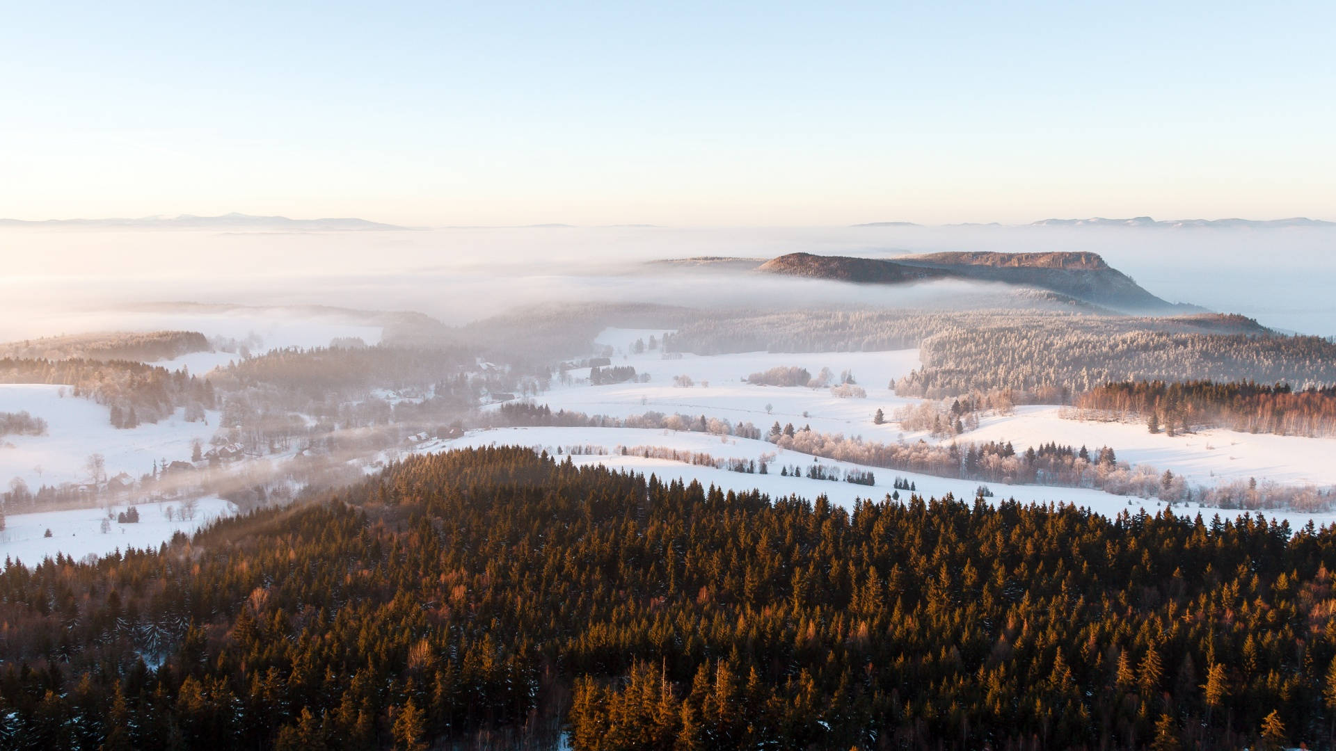 Skoglandskap i vinterestetikk Bakgrunner