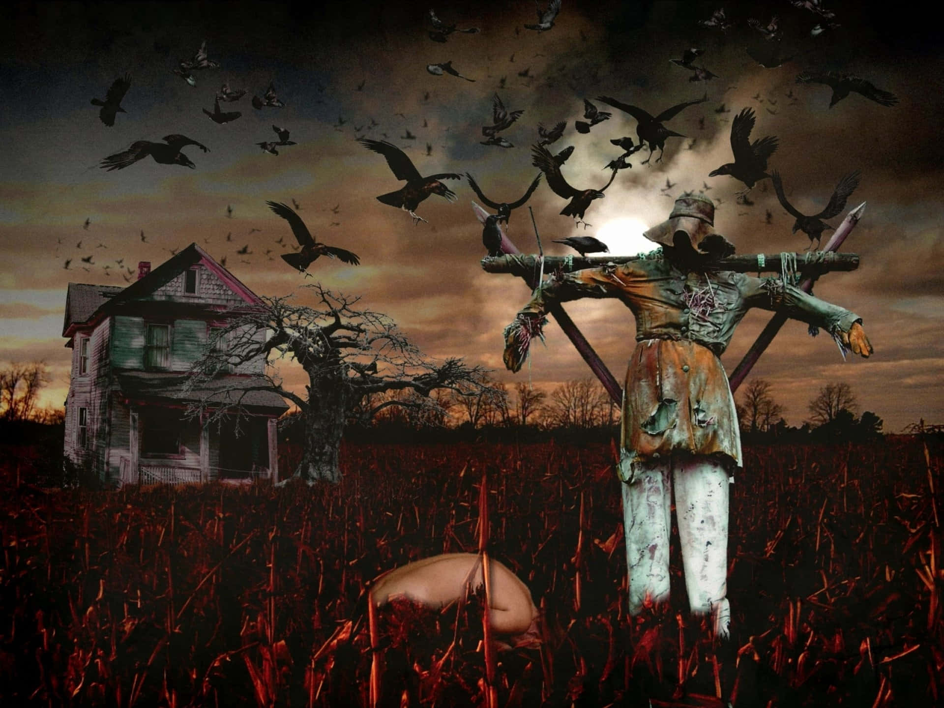 Skumle Halloween-bilder Bakgrunner