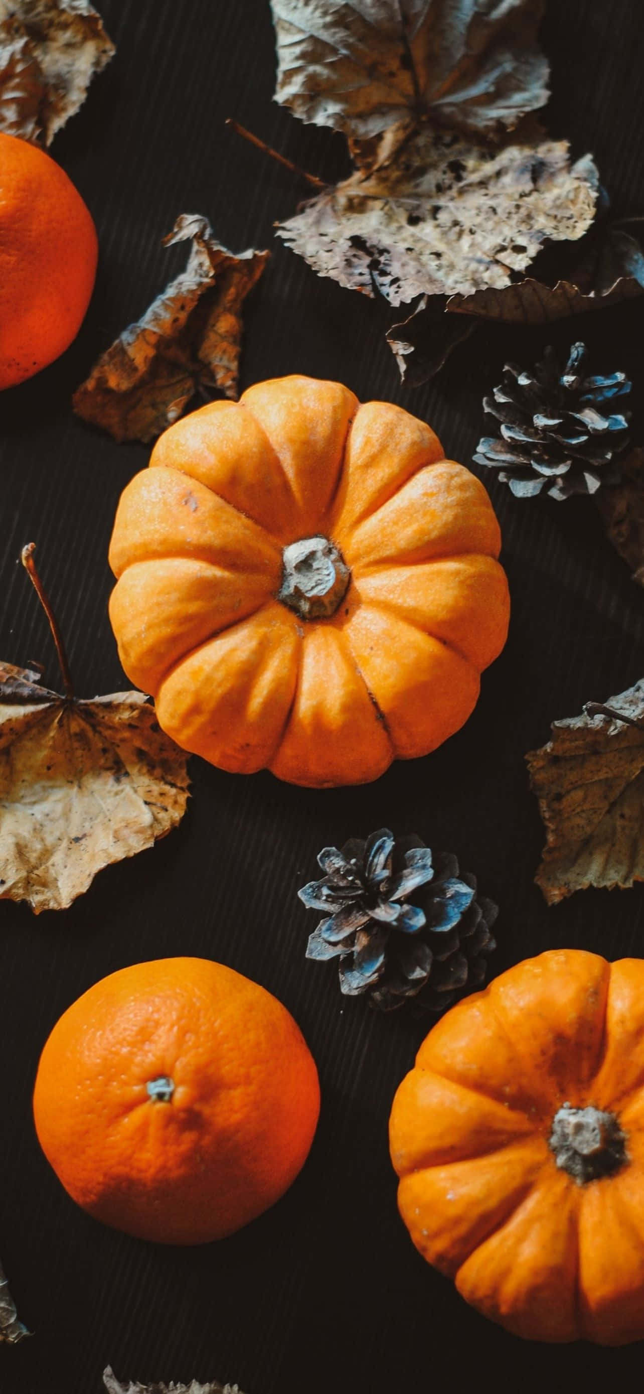 Skummel Halloween-bakgrunn med måneskinn til iPhone Bakgrunner