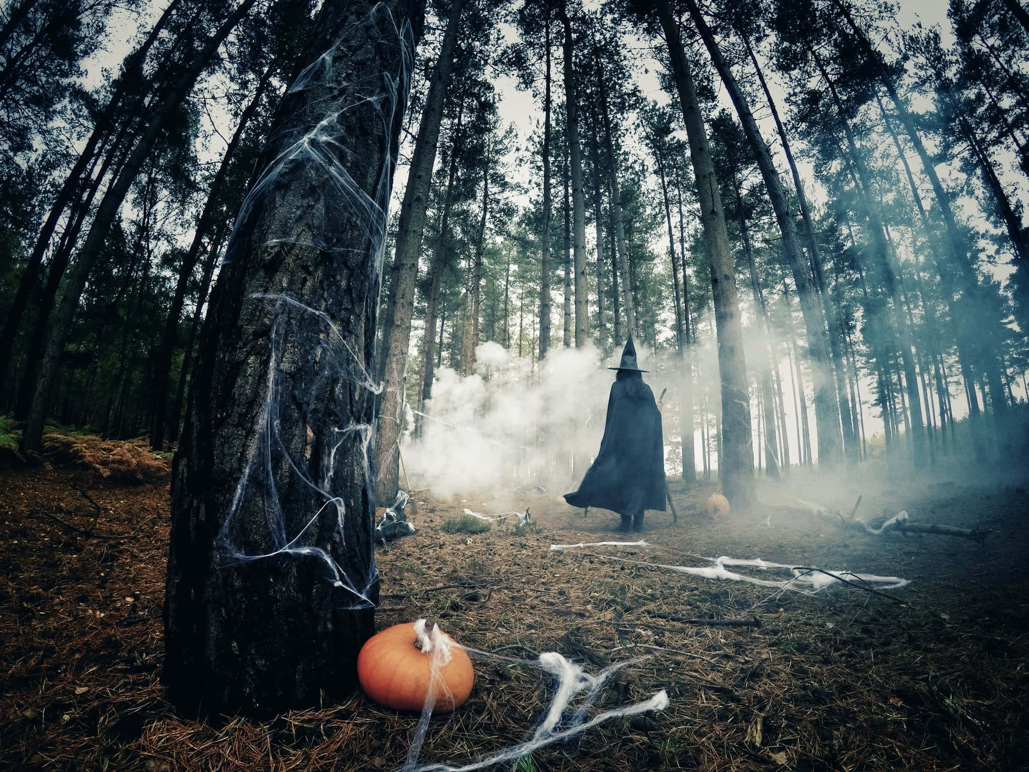 Skummel Halloween-bakgrunn Bakgrunner