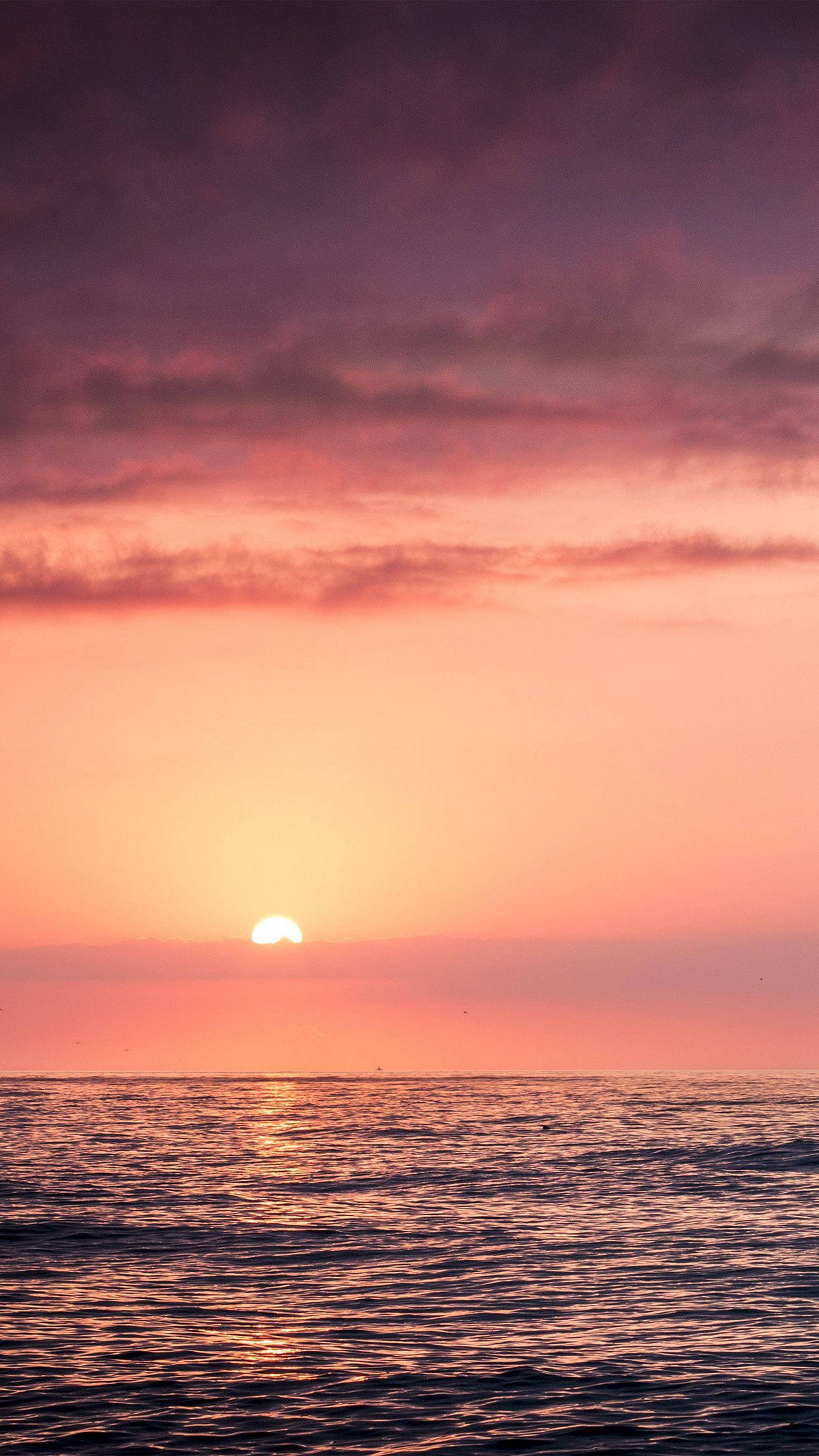 Skyet rosa solnedgang over havet Bakgrunner