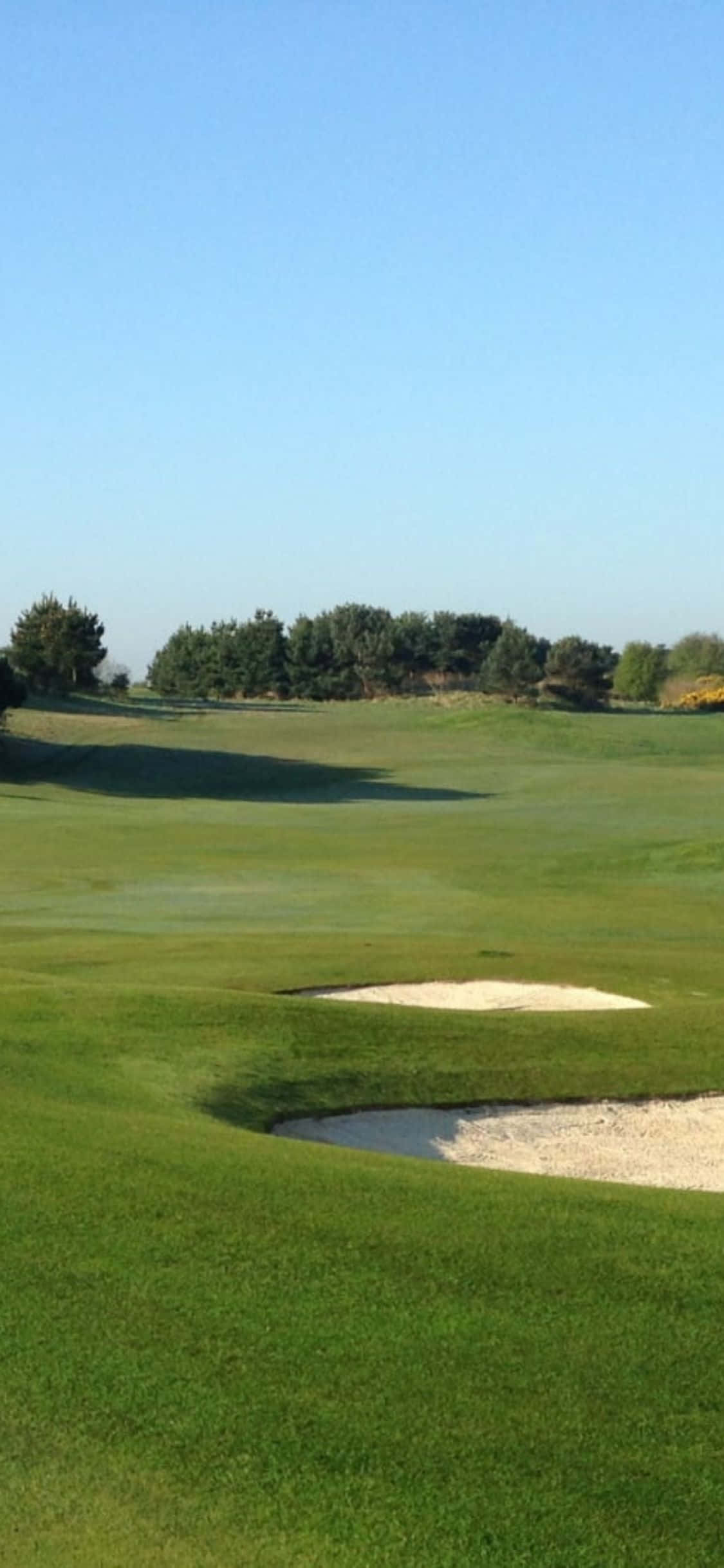 Slå ut på den plettfrie greenen på golfbanen Bakgrunner