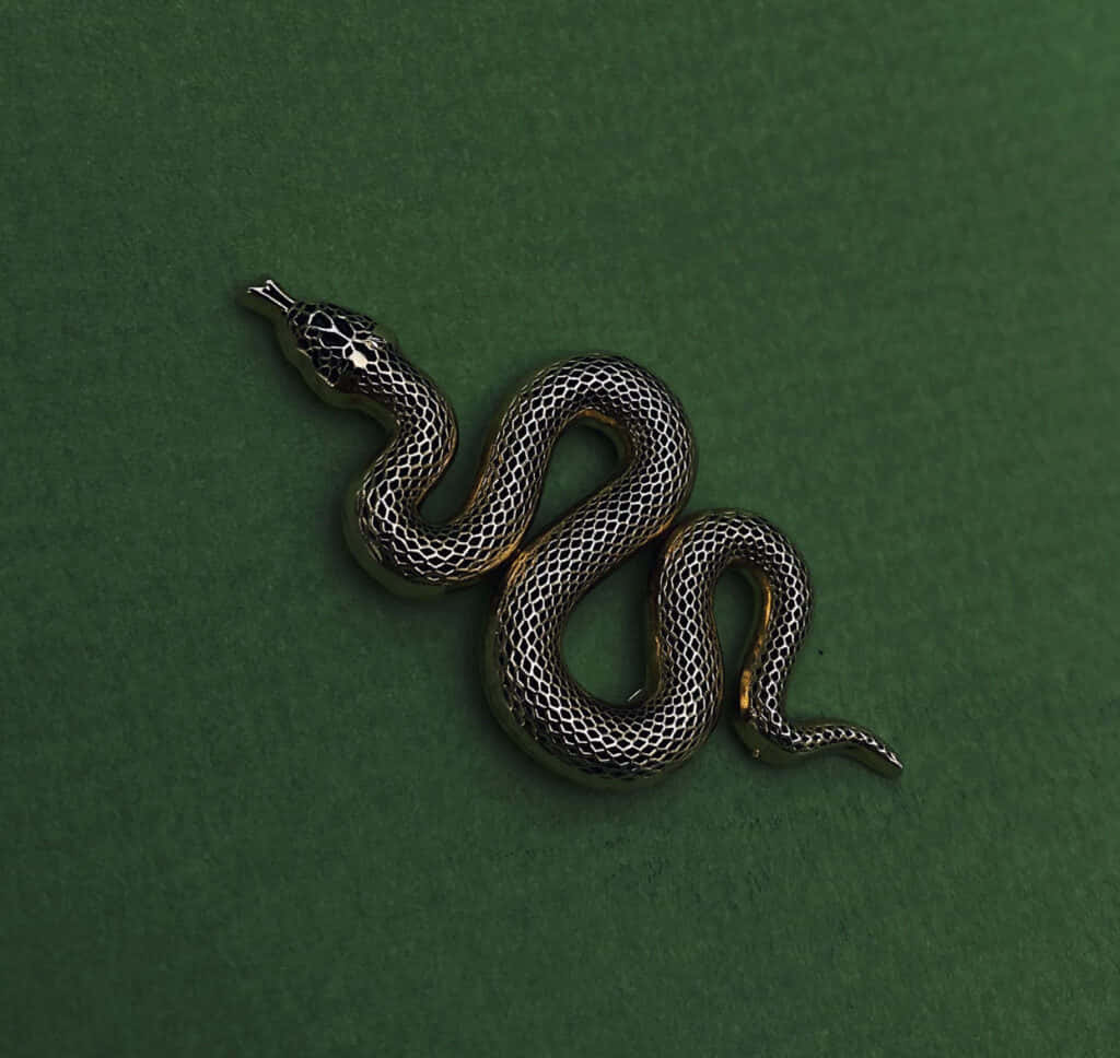Slytherin-estetikkens hemmelige, eldgamle magi Bakgrunner