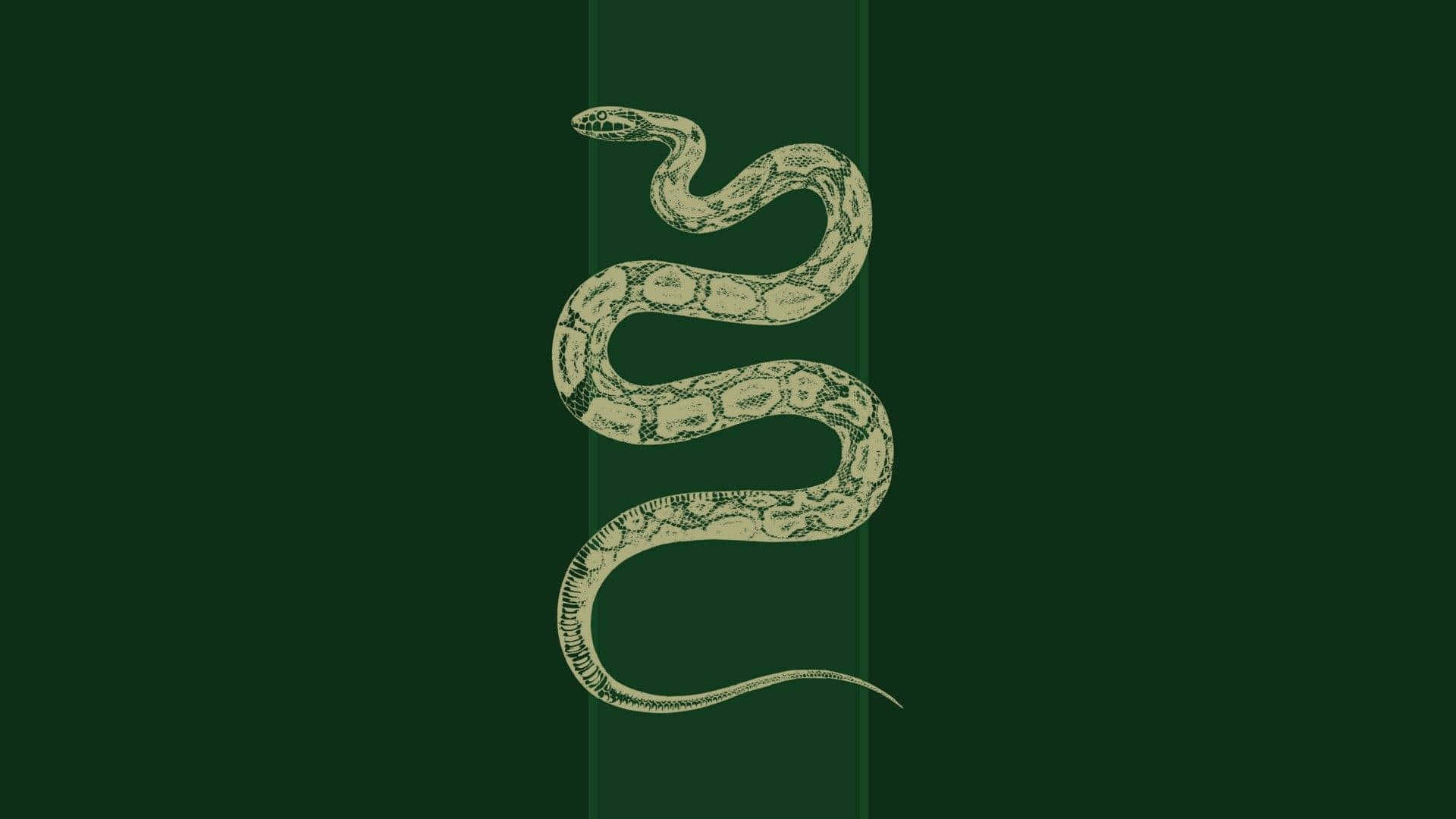 Smygandes soveromsestetikk fra Slytherin Bakgrunner