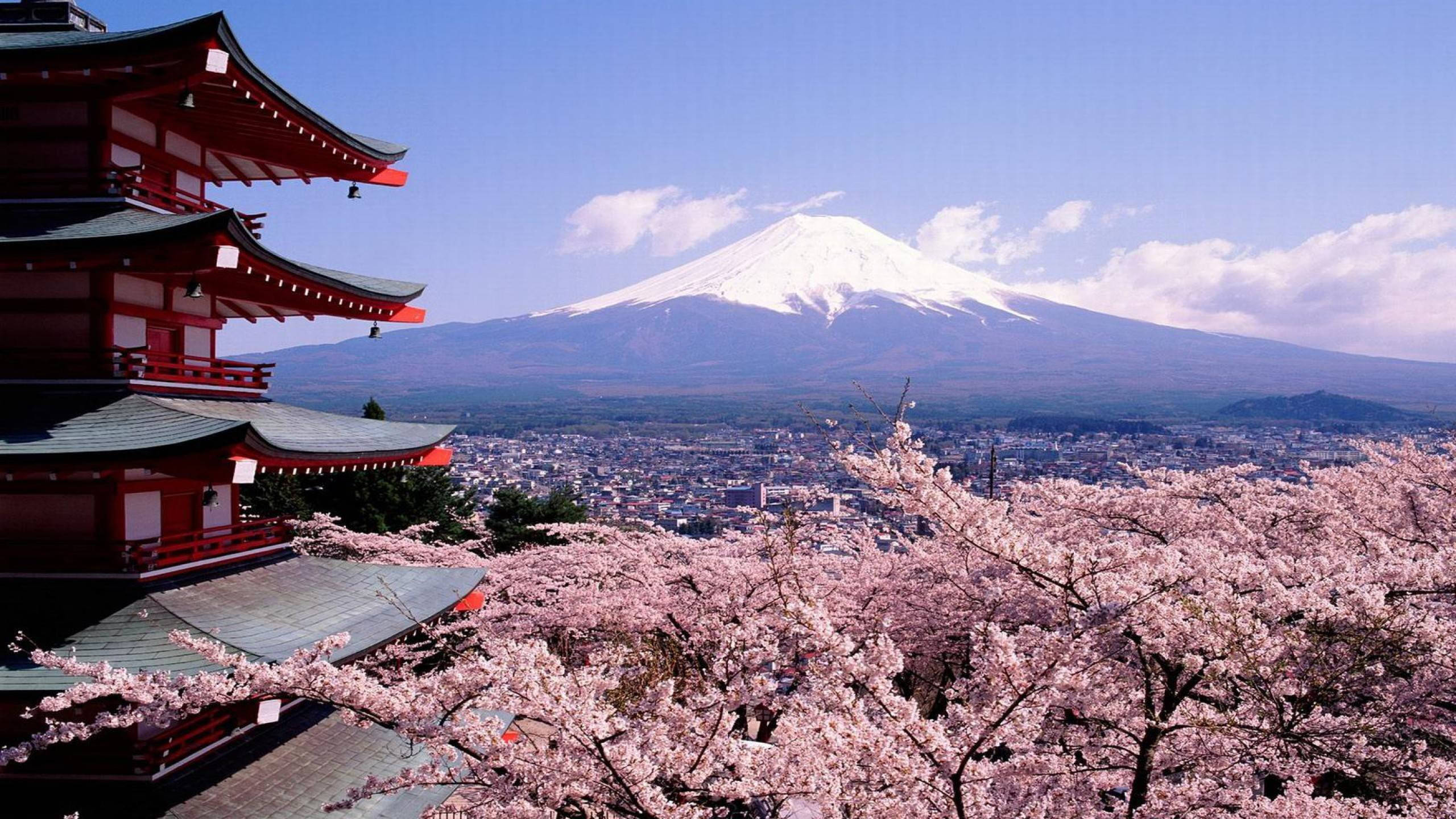 Snødekt Fuji-fjell Japan Bakgrunner