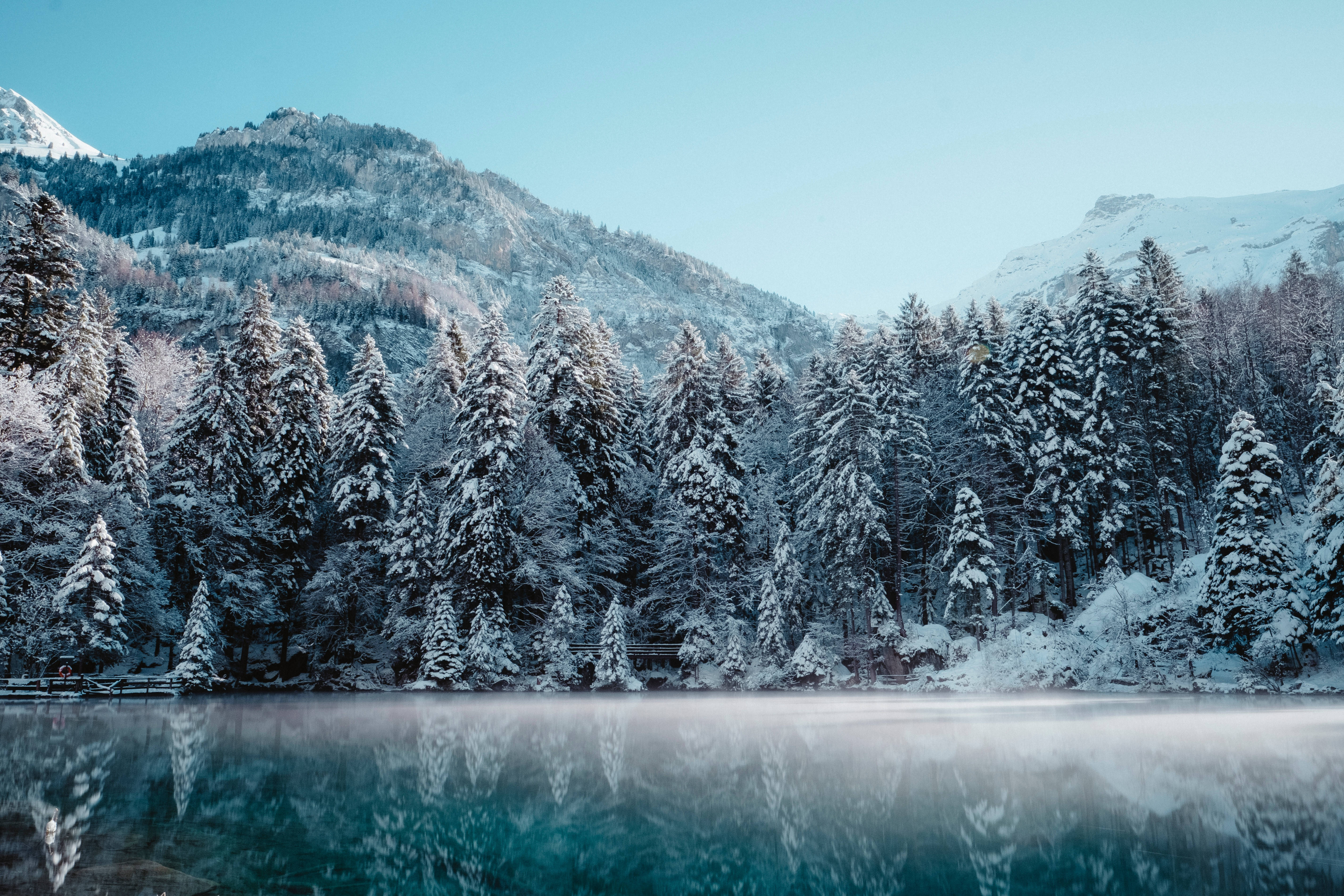Snøestetisk refleksjon Bakgrunner