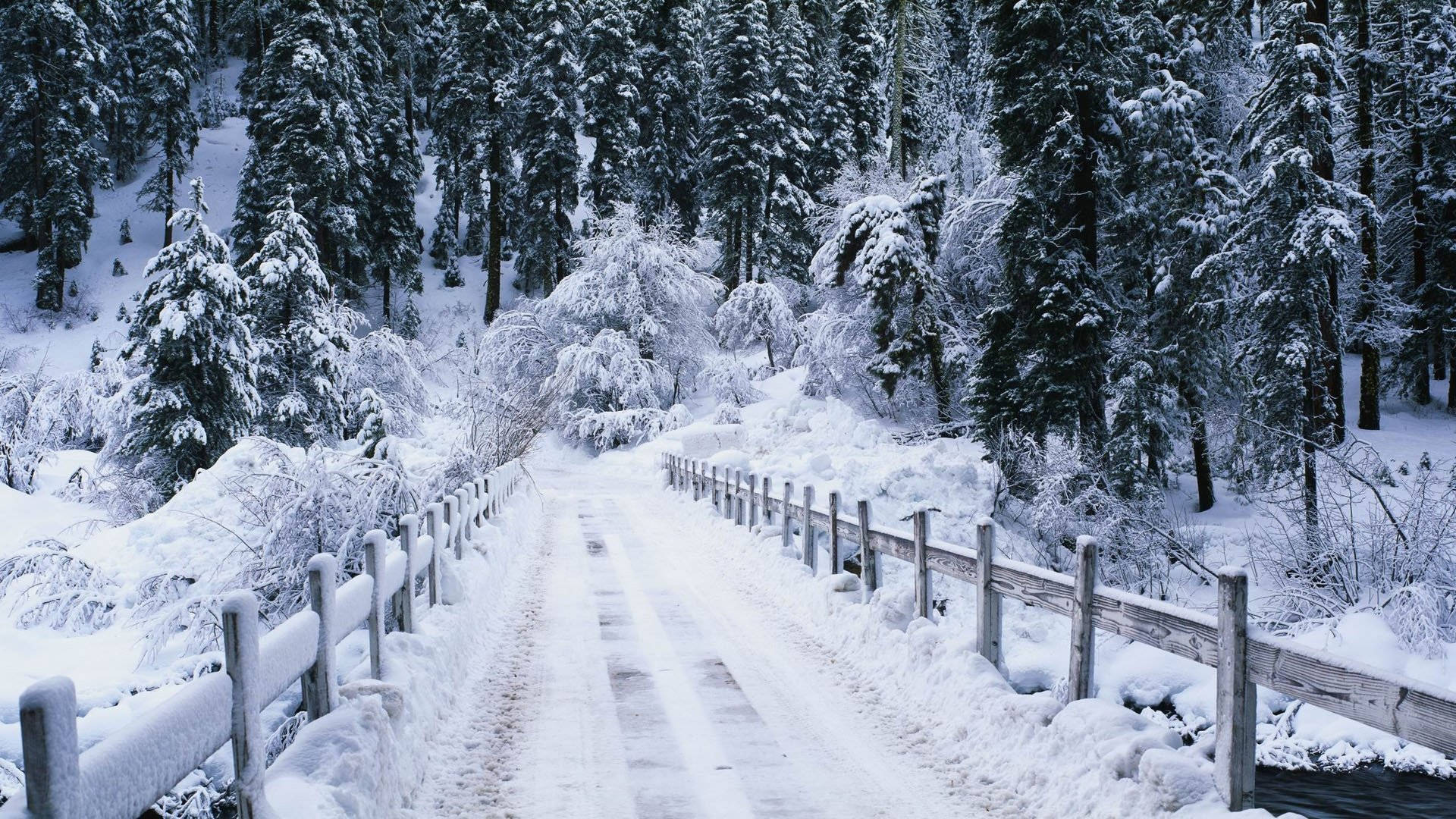 Snøestetiske sklimerker Bakgrunner