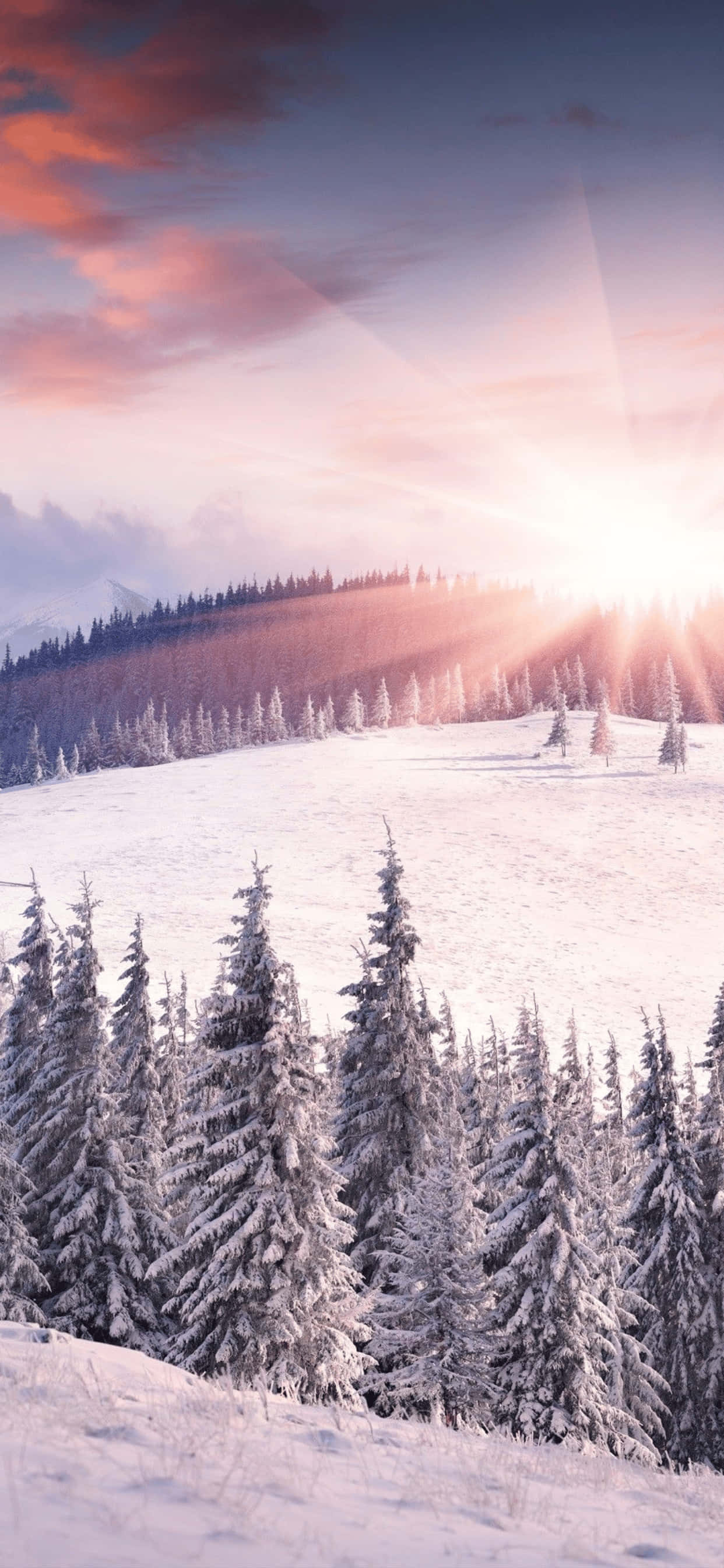 Snødekt fjellbakke iPhone XS Max vinterbakgrunn Bakgrunner