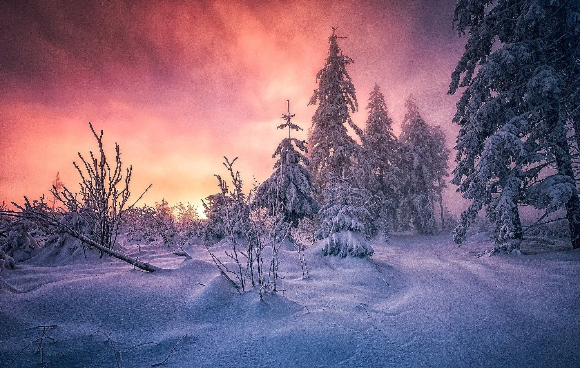 Snøestetikk med oransje himmel Bakgrunner