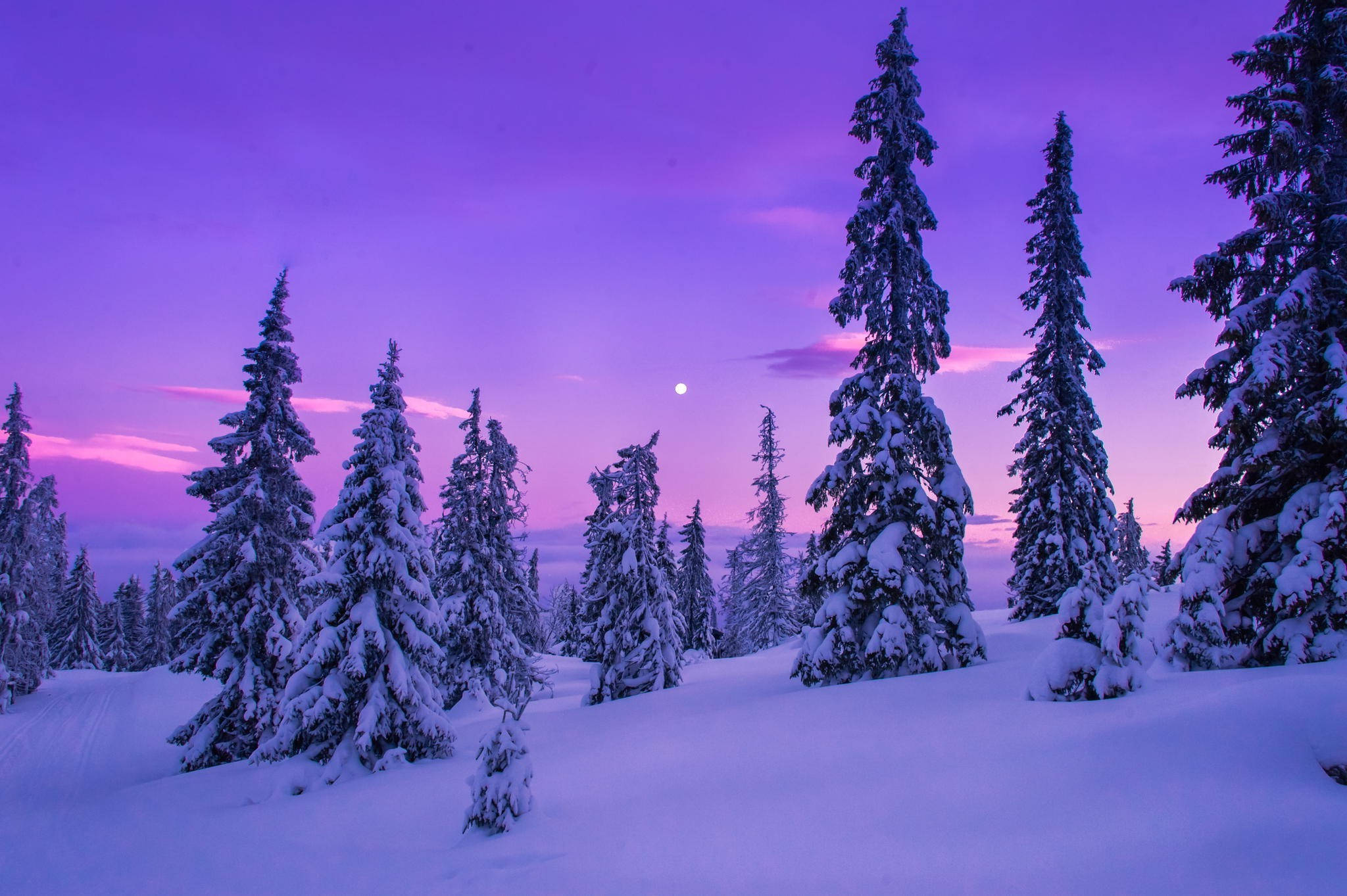 Snøestetisk Skumring Bakgrunner