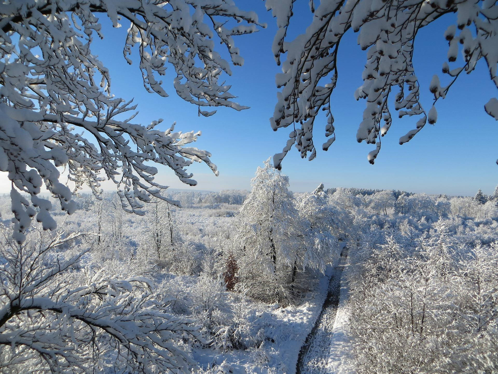 Snøestetisk utsikt Bakgrunner