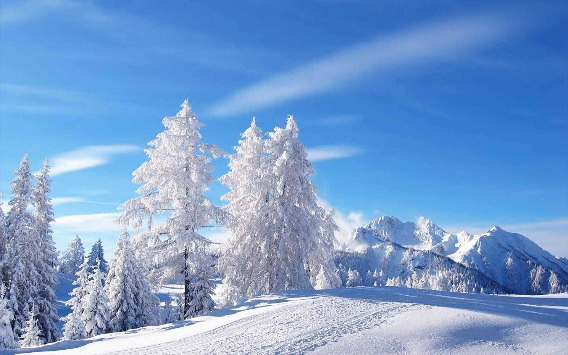 Snøkledde fjell vinterlandskap bakgrunn Bakgrunner